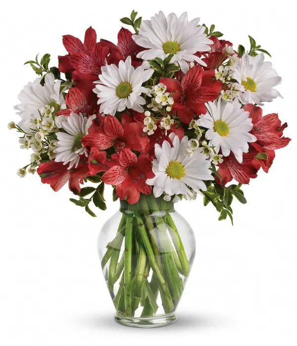 Daisies