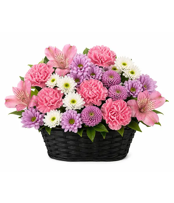 Carnations